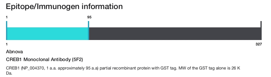 CREB1 Monoclonal Antibody (5F2)