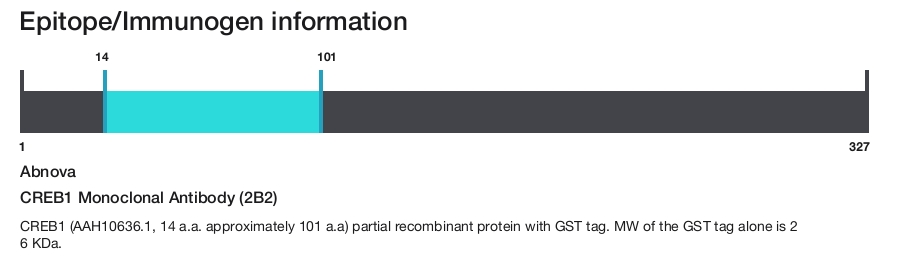 CREB1 Monoclonal Antibody (2B2)