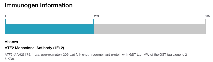 ATF2 Monoclonal Antibody (1E12)
