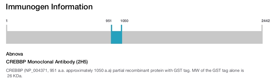 CREBBP Monoclonal Antibody (2H5)