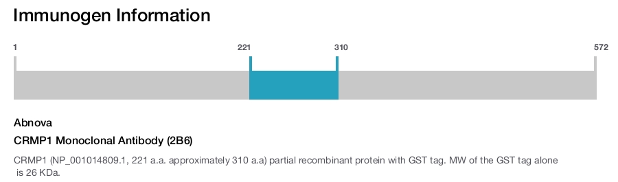 CRMP1 Monoclonal Antibody (2B6)