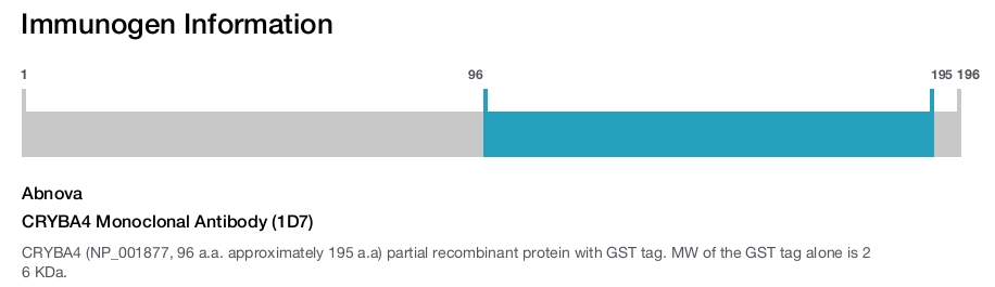 CRYBA4 Monoclonal Antibody (1D7)