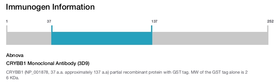 CRYBB1 Monoclonal Antibody (3D9)