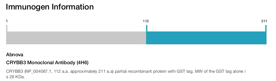 CRYBB3 Monoclonal Antibody (4H6)