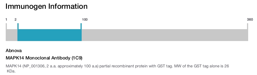 MAPK14 Monoclonal Antibody (1C9)