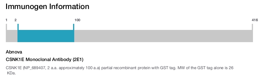 CSNK1E Monoclonal Antibody (2E1)