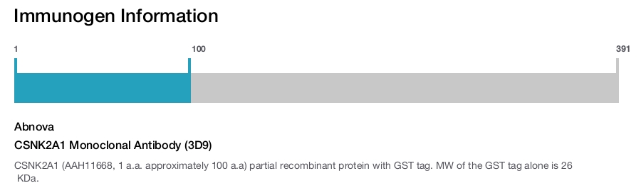 CSNK2A1 Monoclonal Antibody (3D9)