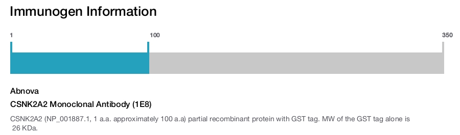 CSNK2A2 Monoclonal Antibody (1E8)