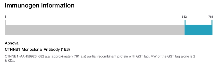 CTNNB1 Monoclonal Antibody (1E3)