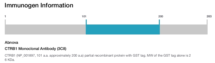 CTRB1 Monoclonal Antibody (3C8)