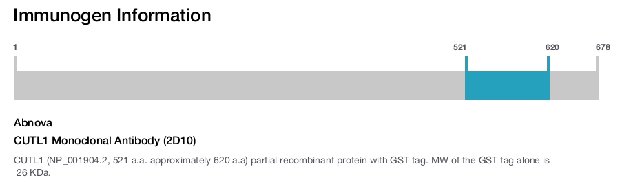 CUTL1 Monoclonal Antibody (2D10)