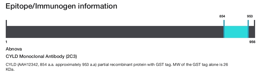 CYLD Monoclonal Antibody (2C3)