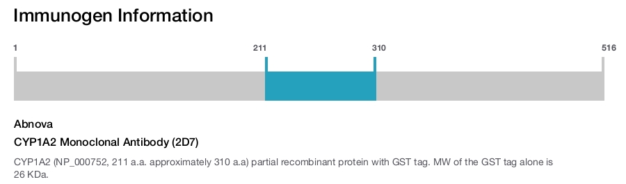 CYP1A2 Monoclonal Antibody (2D7)