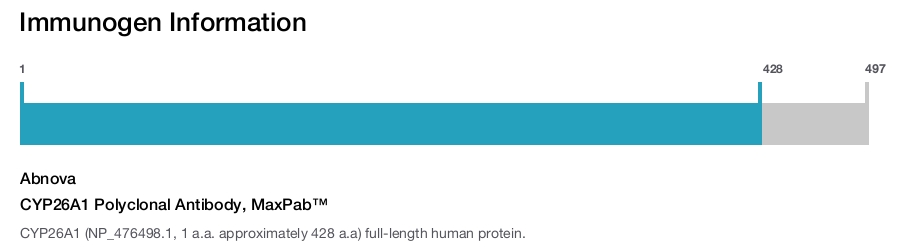 CYP26A1 Polyclonal Antibody, MaxPab™