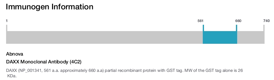 DAXX Monoclonal Antibody (4C2)