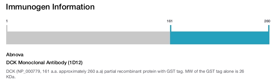 DCK Monoclonal Antibody (1D12)