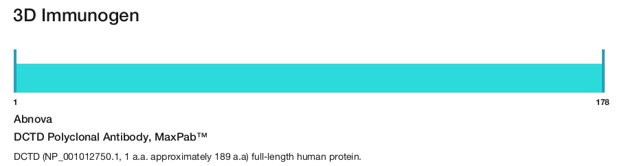 DCTD Polyclonal Antibody, MaxPab&trade;