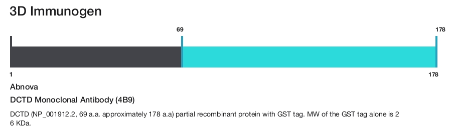 DCTD Monoclonal Antibody (4B9)