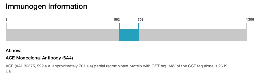 ACE Monoclonal Antibody (6A4)