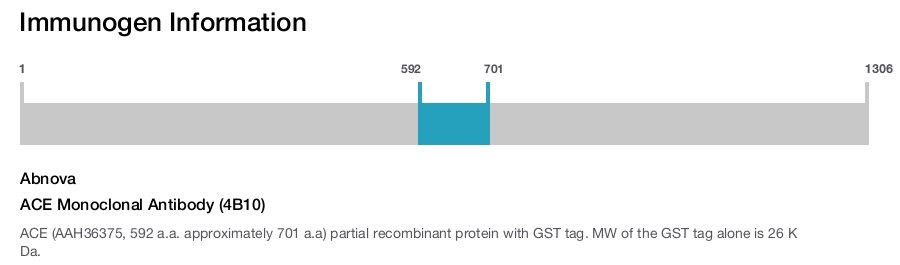 ACE Monoclonal Antibody (4B10)