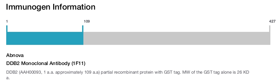 DDB2 Monoclonal Antibody (1F11)