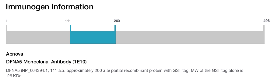 DFNA5 Monoclonal Antibody (1E10)