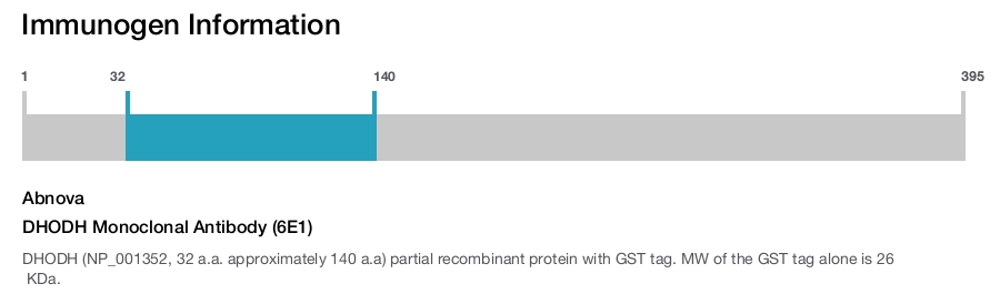 DHODH Monoclonal Antibody (6E1)