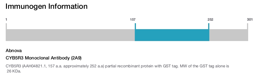 CYB5R3 Monoclonal Antibody (2A9)