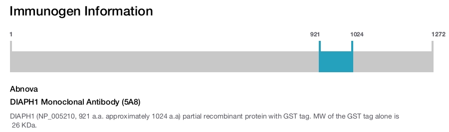 DIAPH1 Monoclonal Antibody (5A8)