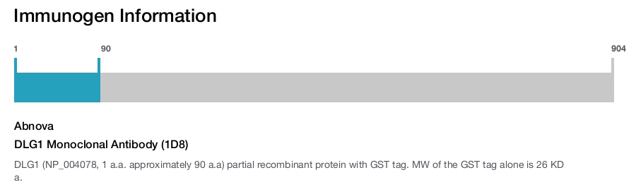 DLG1 Monoclonal Antibody (1D8)