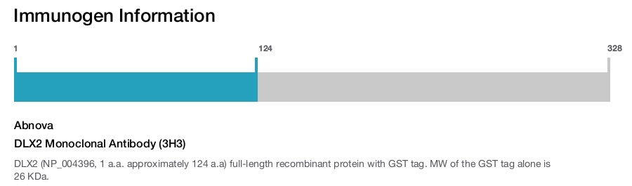 DLX2 Monoclonal Antibody (3H3)