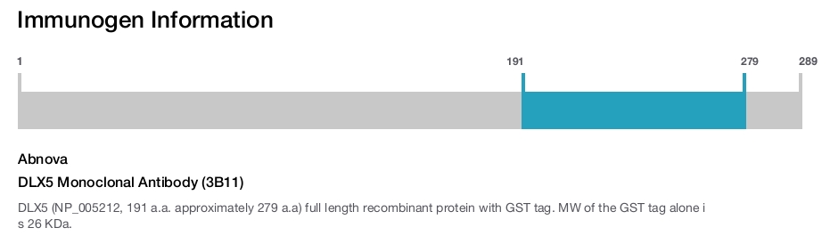 DLX5 Monoclonal Antibody (3B11)
