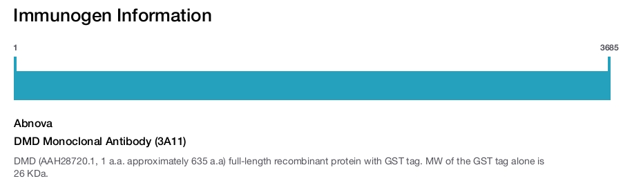 DMD Monoclonal Antibody (3A11)