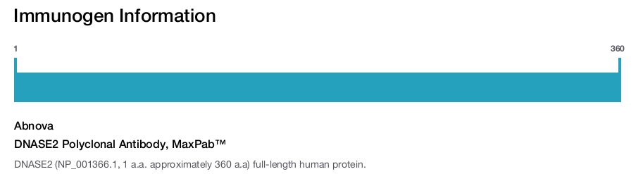 DNASE2 Polyclonal Antibody, MaxPab™