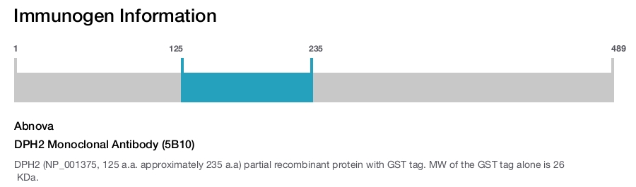 DPH2 Monoclonal Antibody (5B10)