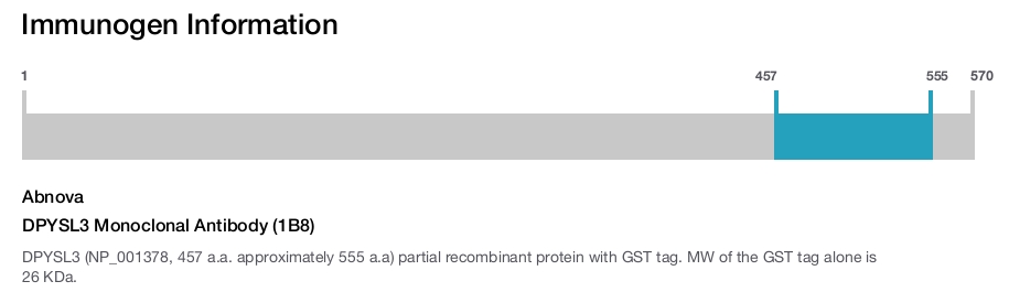 DPYSL3 Monoclonal Antibody (1B8)
