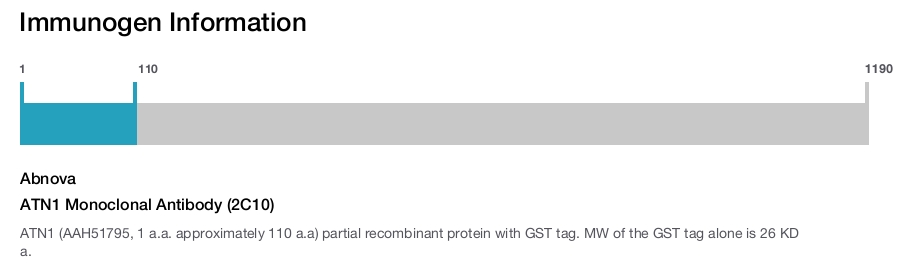 ATN1 Monoclonal Antibody (2C10)
