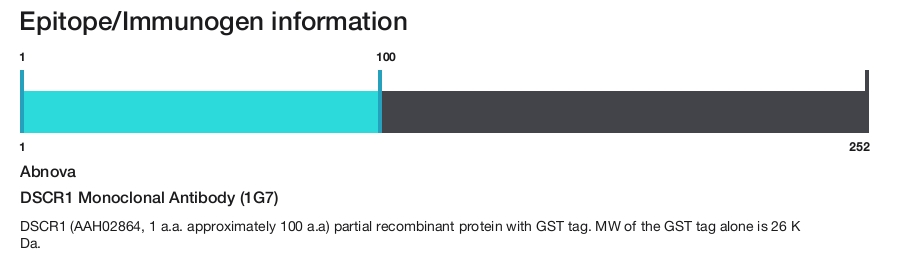 DSCR1 Monoclonal Antibody (1G7)