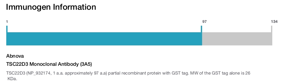 TSC22D3 Monoclonal Antibody (3A5)