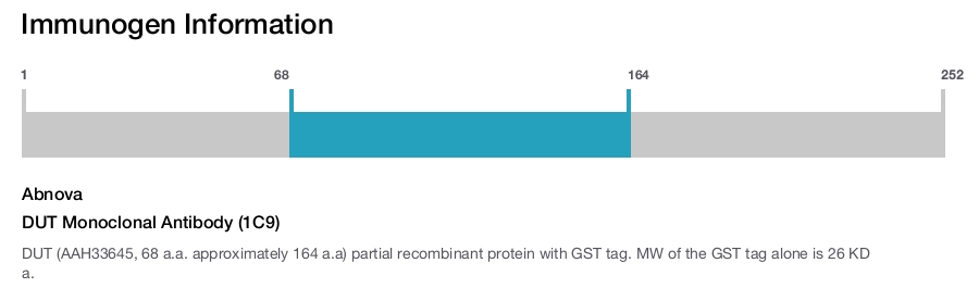 DUT Monoclonal Antibody (1C9)