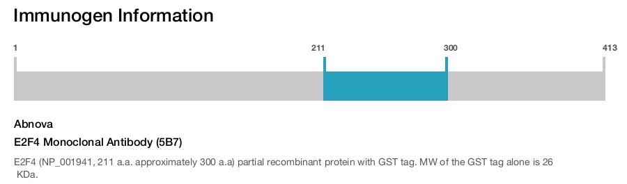 E2F4 Monoclonal Antibody (5B7)