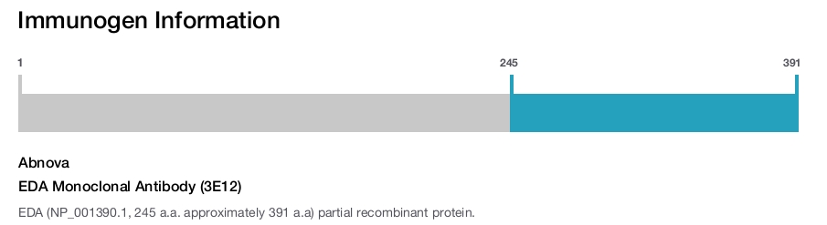 EDA Monoclonal Antibody (3E12)