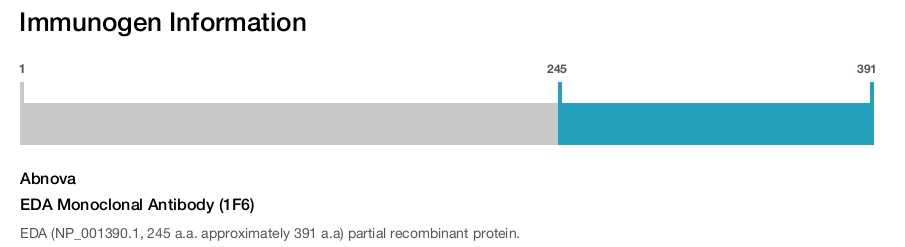 EDA Monoclonal Antibody (1F6)