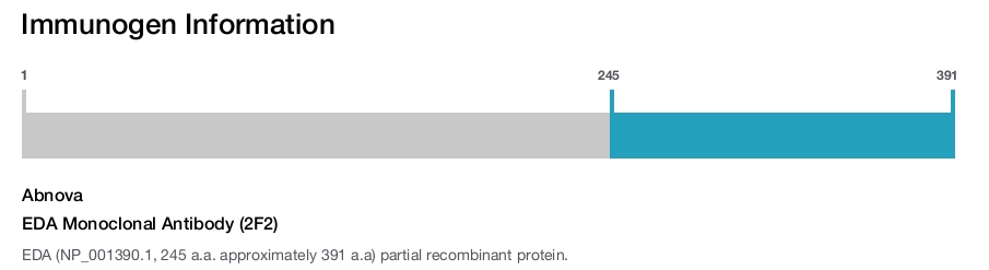 EDA Monoclonal Antibody (2F2)