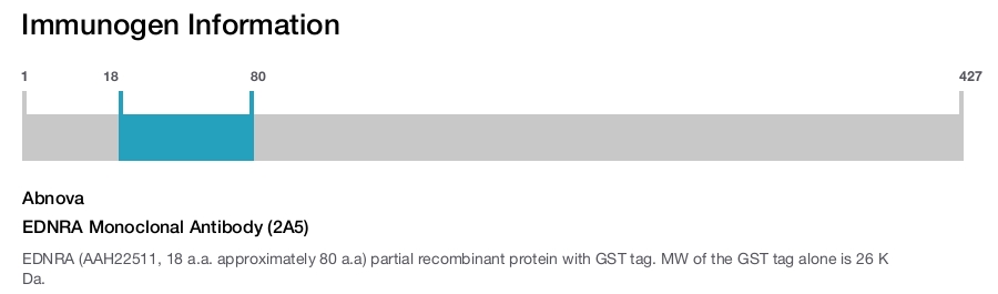 EDNRA Monoclonal Antibody (2A5)