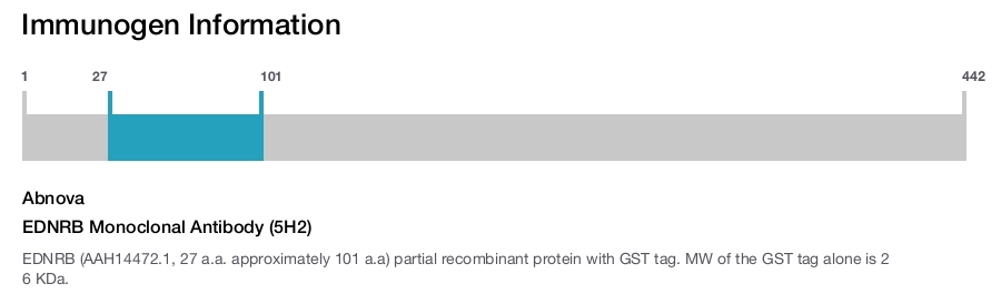 EDNRB Monoclonal Antibody (5H2)