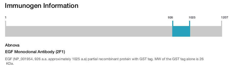 EGF Monoclonal Antibody (2F1)