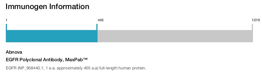 EGFR Polyclonal Antibody, MaxPab&trade;