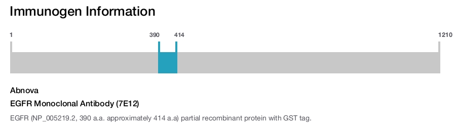 EGFR Monoclonal Antibody (7E12)