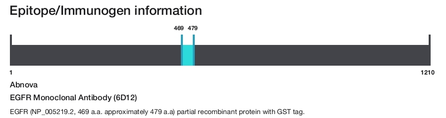 EGFR Monoclonal Antibody (6D12)